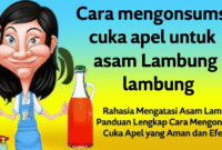 Rahasia Mengatasi Asam Lambung: Panduan Lengkap Cara Mengonsumsi Cuka Apel yang Aman dan Efektif