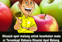 Terungkap! Rahasia Khasiat Apel Malang untuk Kesehatan Mata Optimal: Panduan Lengkap